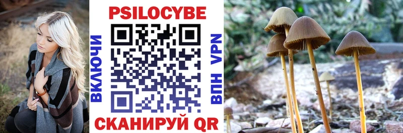 Купить где  Буй  Галлюциногенные грибы ЛСД 